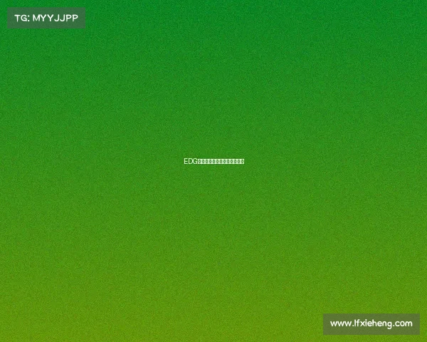 EDG新征程：英雄出征，竞逐巅峰